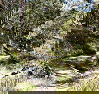 Wollomombi Walking Track - Accommodation Gold Coast