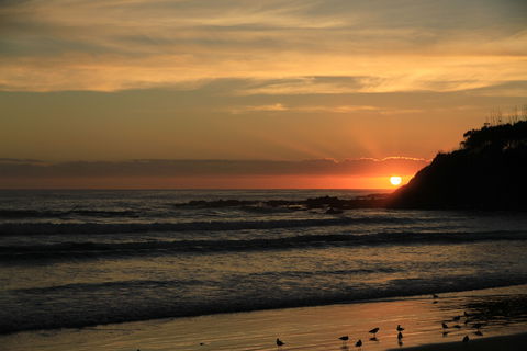 Woolgoolga - 1 Gold Coast 2