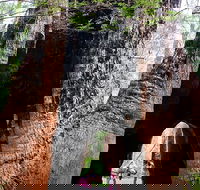 Ancient Empire Walk Valley of the Giants - Accommodation Gold Coast