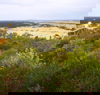 Archer Drive Scenic Drive and Lookout - Accommodation Gold Coast