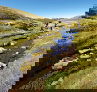 Australian Alps Walking Track - Accommodation Gold Coast