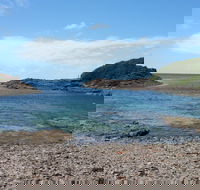 Bass Point Reserve - Accommodation Gold Coast