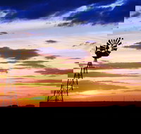 Bell - Accommodation Gold Coast