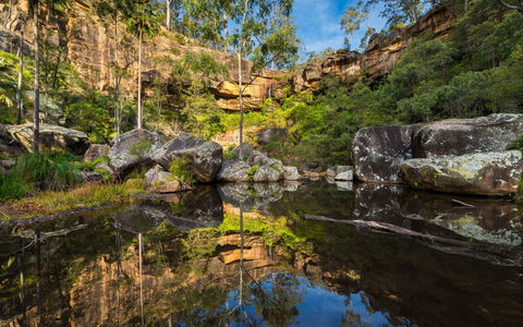 Blackwater - Accommodation Gold Coast 1