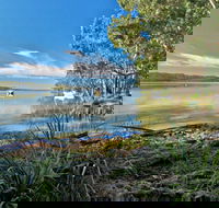 Black Oaks Picnic Area - Accommodation Gold Coast