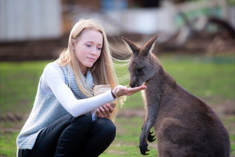 Bonorong Wildlife Sanctuary - Accommodation Gold Coast 1