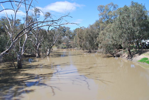 Bush Tucker Trail - Accommodation Gold Coast 0