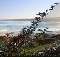 Cape Conran Coastal Park - Accommodation Gold Coast