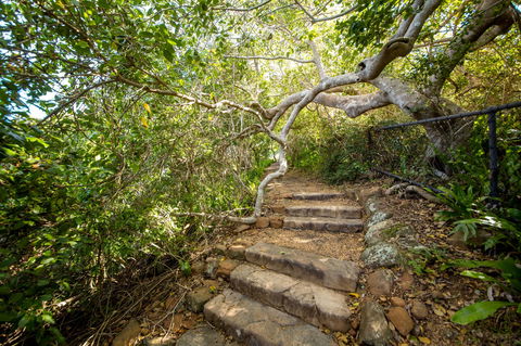 Capricorn Coast National Park - 1 Gold Coast 2