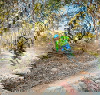 Castle Hill Blackstone Reserve - Accommodation Gold Coast