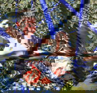 City Park - 1 Gold Coast