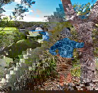 Corkwood and Scribbly Gum Walking Track - Gold Coast 4U