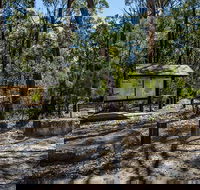 Couridjah Corridor Walk - Accommodation Gold Coast