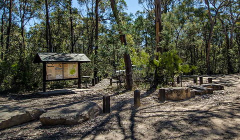 Couridjah Corridor Walk - Accommodation Gold Coast 0