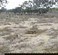 Culgoa Connellys Track - Gold Coast 4U
