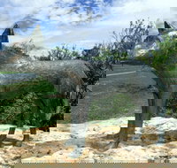 Dingo Statue - Accommodation Gold Coast