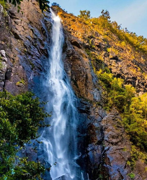 Ellenborough Falls - Accommodation Gold Coast 0