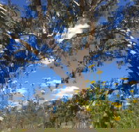 Euroa Arboretum - Accommodation Gold Coast