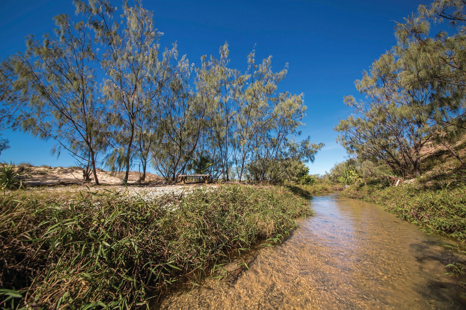 Farnborough QLD Accommodation Gold Coast
