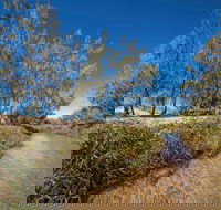 Freshwater Creek Track Byfield National Park - Accommodation Gold Coast