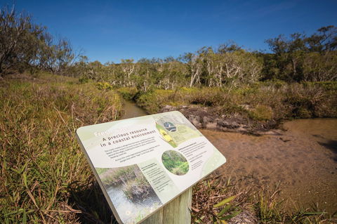 Freshwater Creek Track, Byfield National Park - Accommodation Gold Coast 1