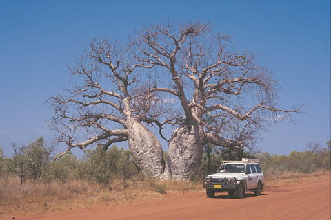 Gibb River Road - Accommodation Gold Coast 2