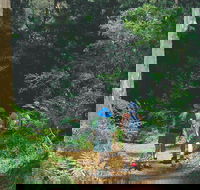 Gloucester National Park - Accommodation Gold Coast