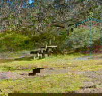 Gloucester Tops picnic area - Accommodation Gold Coast