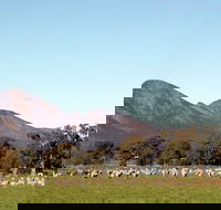 Grampians - Accommodation Gold Coast