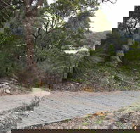 Great North Walk  Ku-ring-gai Chase National Park - Accommodation Gold Coast