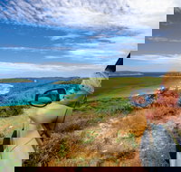 Great Ocean Drive - Accommodation Gold Coast