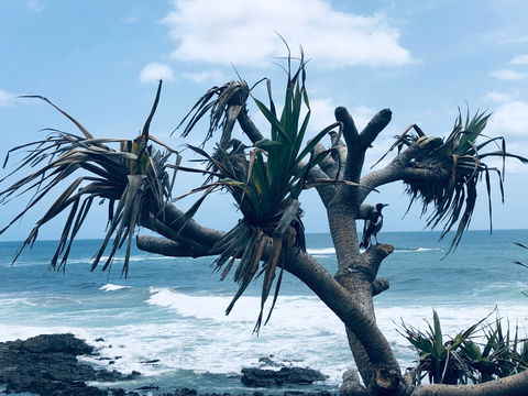 Hastings Point Beach - Accommodation Gold Coast 0