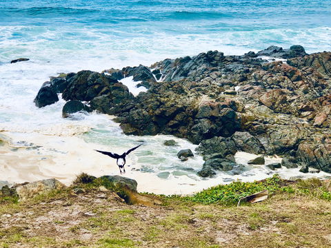 Hastings Point Beach - Accommodation Gold Coast 2