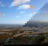Heaton State Forest - Watagan Mountains - Accommodation Gold Coast