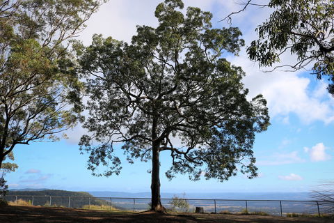 Heaton State Forest - Watagan Mountains - Gold Coast 4U 2