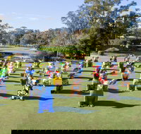 Hello Koalas Sculpture Trail - Accommodation Gold Coast