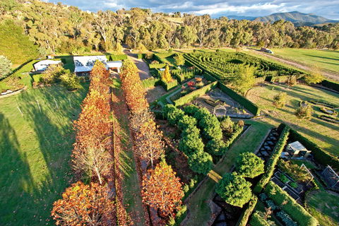 High Country Maze - Accommodation Gold Coast 1