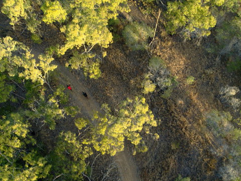 Hillview Drive Reserve - Accommodation Gold Coast 2