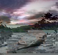 How to Holiday on The Hibiscus Coast with your Family - Accommodation Gold Coast