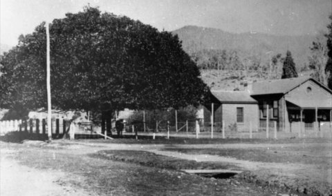 Jamieson Museum - Accommodation Gold Coast 0