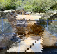 John Oxley Monument - Accommodation Gold Coast