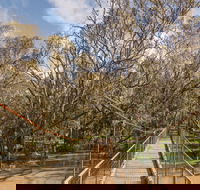 Lachlan River Swing Bridge - Accommodation Gold Coast