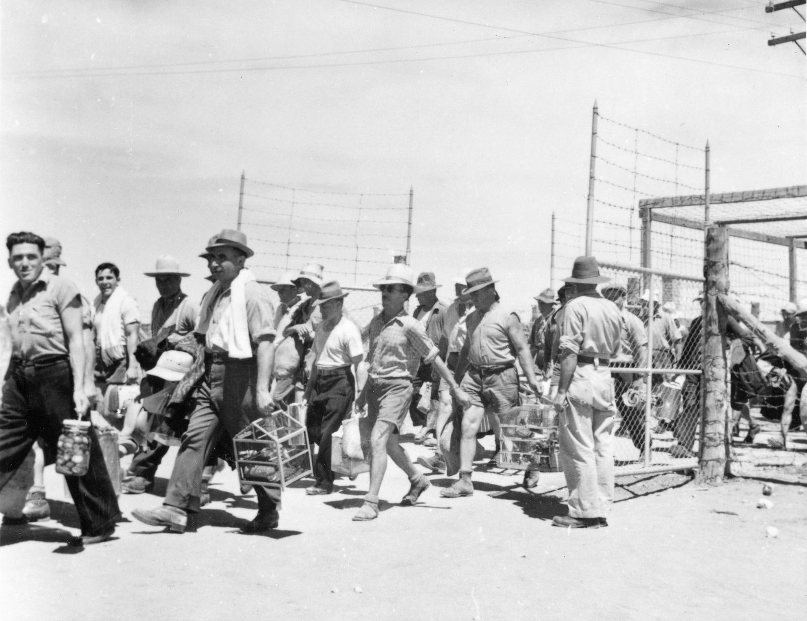 Loveday SA Accommodation Gold Coast