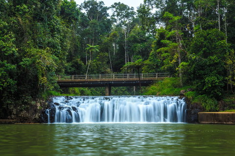 Malanda Falls - Accommodation Gold Coast 0