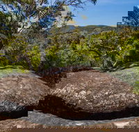Marramarra Ridge to Smugglers Ridge walking track - 1 Gold Coast