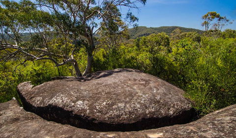 Marramarra Ridge To Smugglers Ridge Walking Track - 1 Gold Coast 0
