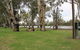 Martin Bend Reserve - thumb 2