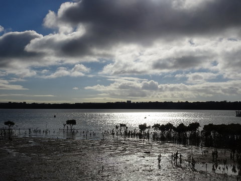 Marine Parade (Hastings Foreshore Reserve) Circuit - Cycling - Accommodation Gold Coast 0