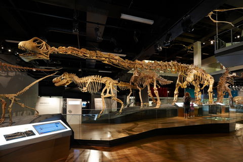 Melbourne Museum - Accommodation Gold Coast 1
