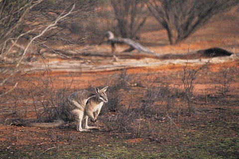 Mildura - Accommodation Gold Coast 2